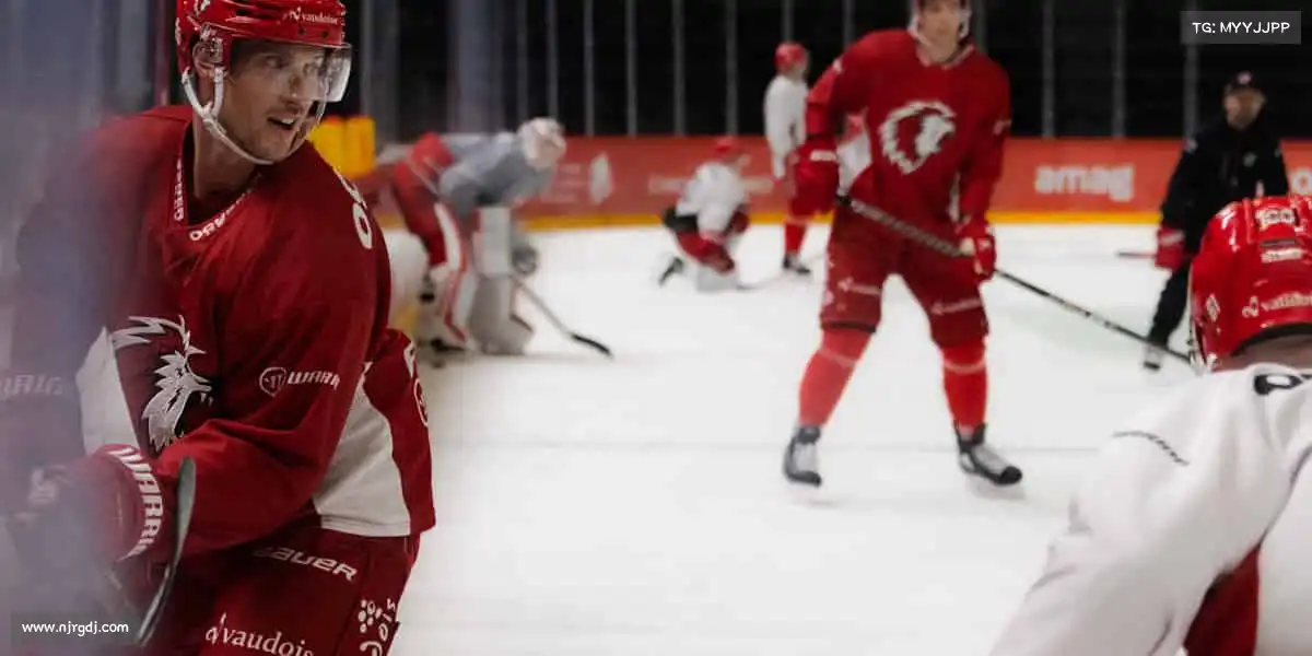 为什么选择我们